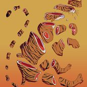 Animales en peligro. Un progetto di Illustrazione tradizionale di Alba Fernández-Velilla - 04.12.2018