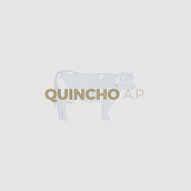 Quincho Alta Parrillería. Br, ing, Identit, Graphic Design, T, and pograph project by Dan Torres - 07.09.2017