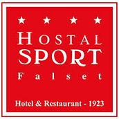 Hostal Sport (Consultoría SEO - Marketing online). Un projet de Marketing digital , et Réseaux sociaux de David Díaz Martín - 01.06.2013