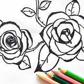 Ilustraciones . Un proyecto de Dibujo e Ilustración tradicional de Maria Cecilia Mennucci - 10.12.2018