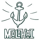 MOLOKAI. Br, ing, Identit, Design, Accessor, Design, Fashion Design, Costume Design, and Graphic Design project by Jordi Cortés Ballabriga - 08.28.2018
