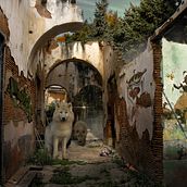 Proyecto final del curso de fotomontaje y retoque creativo. 2D Animation, Photograph, and Post-production project by Xavi Sentís - 12.13.2018