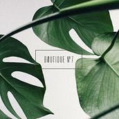 Boutique n7. Un progetto di Br, ing, Br, identit, Direzione artistica e Design editoriale di Azote - 01.01.2017