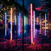 Lightecture by Creactivitat. Web Development, Lighting Design, Web Design, Digital Marketing, Social Media, and UX / UI project by Creactivitat - 12.14.2018
