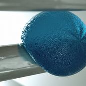Jelly Ball. Projekt z dziedziny 3D i Animacje 3D użytkownika Nahuel Acevedo - 15.12.2018