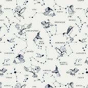 Imaginary Constellation. Un proyecto de Dibujo, Dibujo artístico, Diseño de complementos, Diseño de moda, Pattern Design e Ilustración tradicional de Noelia Portilla - 16.12.2018