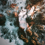Cute cat in Skullerud / Lindo gato en Skullerud. Fine Arts, Collage, Creativit, Graphic Design, and Photo Retouching project by Aneth Charles - 12.18.2018