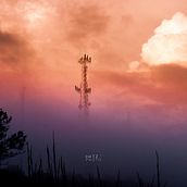 Tecnología Salvaje. Br, ing, Identit, Editorial Design, Photograph, L, and scape Architecture project by Jorge Vasquez - 12.14.2018