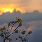 flores en el cielo. Photograph, Portrait Photograph, Photographic Lighting, and Digital Marketing project by Jorge Vasquez - 11.18.2018