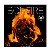 Bonfire Childish Gambino Album Cover. Arts, Crafts, Concept Art, Art Direction, and Product Design project by Zoe Vitale - 11.24.2018