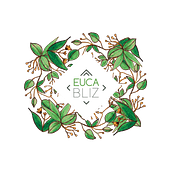 Eucabliz: Productos de eucalipto . Br, ing, Identit, Creative Consulting, Creativit, Logo Design, Product Design, Graphic Design, Product Photograph, and Traditional illustration project by Jimena Rodríguez Basurto - 12.26.2018