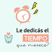 Mi Proyecto del curso: Introducción al marketing digital en Instagram. Design, Graphic Design, Stor, and telling project by Maria Josefina Fardaus - 12.26.2018