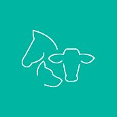 Diseño Grafico - Poliana Menestrina. Un proyecto de Diseño de logotipos y Diseño gráfico de Jaciara Busarello - 11.05.2019
