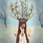 Árbol de invierno. Een project van  Beeldende kunst,  Creativiteit,  Art direction,  Ontwerp, Ontwerp van personages, Fotografie, Studiofotografie, Fotografische postproductie y Retoucheren van foto's van Jessy Valeska Chacón Ramírez - 31.12.2018