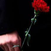 Reportería gráfica: 11M - 2018. Projekt z dziedziny Fotografia użytkownika Julián Mauricio Fandiño Chía - 11.03.2018