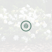 Marca "gardenia" - Jardín Botánico . Branding și identitate de Ángela Fernández García - 01.09.2019