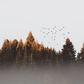 Web Design. Een project van Webdesign van Helena Batallé - 09.01.2019