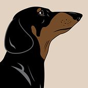 Boris, el perro salchicha. Traditional illustration, and Vector Illustration project by Xandre Fernández Peón - 01.12.2019