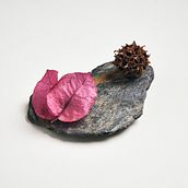 Nature Textures. Un progetto di Fotografia di Felipe Fuenzalida Arévalo - 15.01.2019