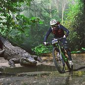 Cocodrilo bike. Un progetto di Collage, Design, Graphic design e Ritocco fotografico di Alejandro Alia - 16.01.2019