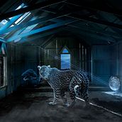 Fotomontaje y retoque creativo. Un progetto di Illuminazione fotografica, Postproduzione fotografica e Ritocco fotografico di Nicolas Martinez Mihelj - 18.01.2019