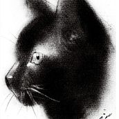 Gato con polvo de carbonilla. Drawing project by Sol Martire - 01.20.2019