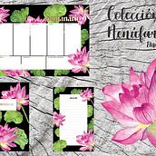 Mi Proyecto del curso: Ilustración botánica con acuarela. "Colección Nenúfar". Traditional illustration project by Elisa Montero - 01.27.2019