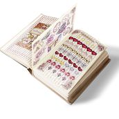 Papelería y Accesorios. Un progetto di Design editoriale di Bárbara Senderowicz - 26.01.2019