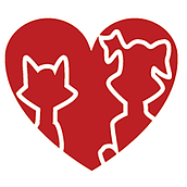 Mi Proyecto del curso: Fotografía para redes sociales: Lifestyle branding en Instagram Mascotti. Un proyecto de Fotografía, Marketing Digital y Redes Sociales de Jair Medrano - 31.01.2019