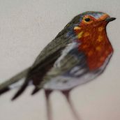 Mi Proyecto del curso: Pintar con hilo: técnicas de ilustración textil. Un proyecto de Bordado de Estefanía Giraldo B - 29.01.2019