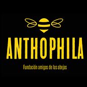 Branding // Anthophila // Fundación amigos de las abejas . % Plankton tarafından hazırlanan Yaratıcılık, Sanatsal Çizim, Tasarım, Logo Tasarımı, Ciltçilik, Ve Fotoğrafçılık projesi - 02.03.2019