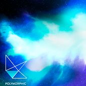 Polymorphic - Editorial design project. Concept Art, Logo Design, Editorial Design, Traditional illustration, Naming, and Advertising project by Raquel Majada - 02.04.2019