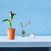 Ejercicio curso 2 lección 5. Graphic Design, Digital Illustration, and Photo Retouching project by MIGUEL DAMIÁN GONZÁLEZ POZO - 02.05.2019