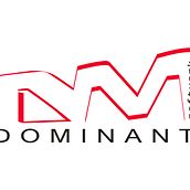dominant. Br, ing, Identit, Graphic Design, and Naming project by Libe Echarri - 02.07.2013