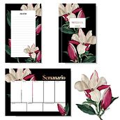 Papelería para proyecto de curso: Ilustración botánica con acuarela . % María Bailey tarafından hazırlanan Geleneksel illüstras, on, Sulubo, Ve a Resim projesi - 02.10.2019