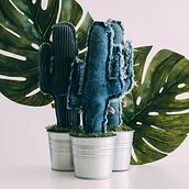 Producto "TDS". Un proyecto de Fotografía de producto, Fotografía y Fotografía de estudio de Clàudia Díaz - 12.02.2019