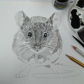  ratoncete sagutxo. Un proyecto de Bellas Artes, Creatividad, Dibujo, Dibujo a lápiz y Dibujo artístico de Anuka Díaz de Espada - 15.02.2019