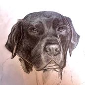 Retrato Ares. Desenho a lápis, e Desenho de retrato projeto de Jana Vives de la Cortada - 18.02.2019