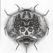 ANIMALARIO. Drawing, Pencil Drawing, Artistic Drawing, Design, Graphic Design, and Traditional illustration project by Miguel Pérez García - 02.19.2019