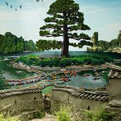 Bonsai sagrado. Photo Retouching project by jgalo8 - 02.20.2019