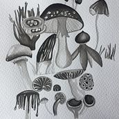 Mi Proyecto del curso: Hongos de Chile. Projekt z dziedziny Trad, c i jna ilustracja użytkownika Paola López Contreras - 27.02.2019