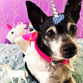 Mi Proyecto del curso: Introducción al marketing digital en Instagram @eli_zabethtaylor. Un progetto di Creatività di Maria Bohorquez Quintanilla - 03.03.2019