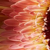 Acércate. Un projet de Photographie, Photographie numérique , et Retouche photographique de Lorena Ferreira - 03.03.2019