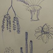 bocetos botánicos. Un progetto di Disegno a matita di Gonzalo Rodriguez - 05.03.2019