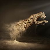 WWF Adena Ein Projekt aus dem Bereich Kreativität, Kunstleitung, Werbung und Fotoretuschierung von Raúl Raúl - 05.03.2019