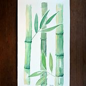 Botánica para Pub. Watercolor Painting project by Paula Rodríguez Fernández - 03.13.2019