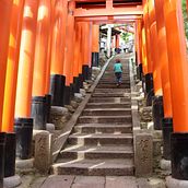 Japón - Modo AF AV TV M. Photograph, and Digital Photograph project by Sandra - 05.14.2019