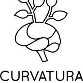 Ident corporativo: Curvatura Estudio. Een project van Motion Graphics van Alvaro Molina - 15.03.2018