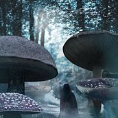 Mis Proyecto del curso: Secretos del fotomontaje y el retoque creativo Ein Projekt aus dem Bereich Artistische Zeichnung von Javiera Fernanda Cerda Perez - 19.03.2019