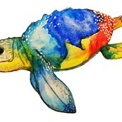 Tortuga marina en acuarela - Proyecto Islas Galápagos. Un proyecto de Dibujo artístico de Journal Wish - 19.03.2019